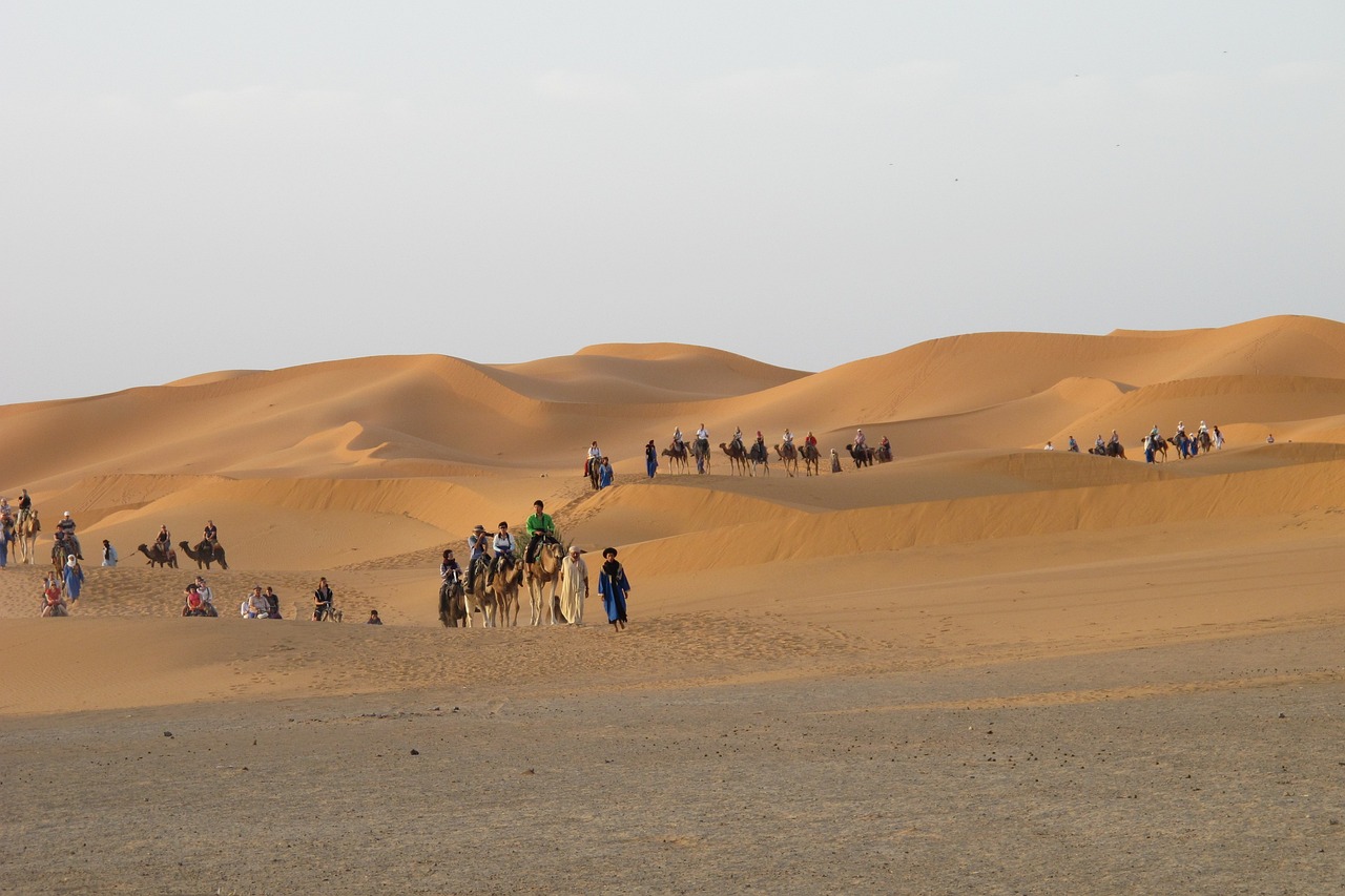 3-Day Marrakech to fes Tour - sahara desert