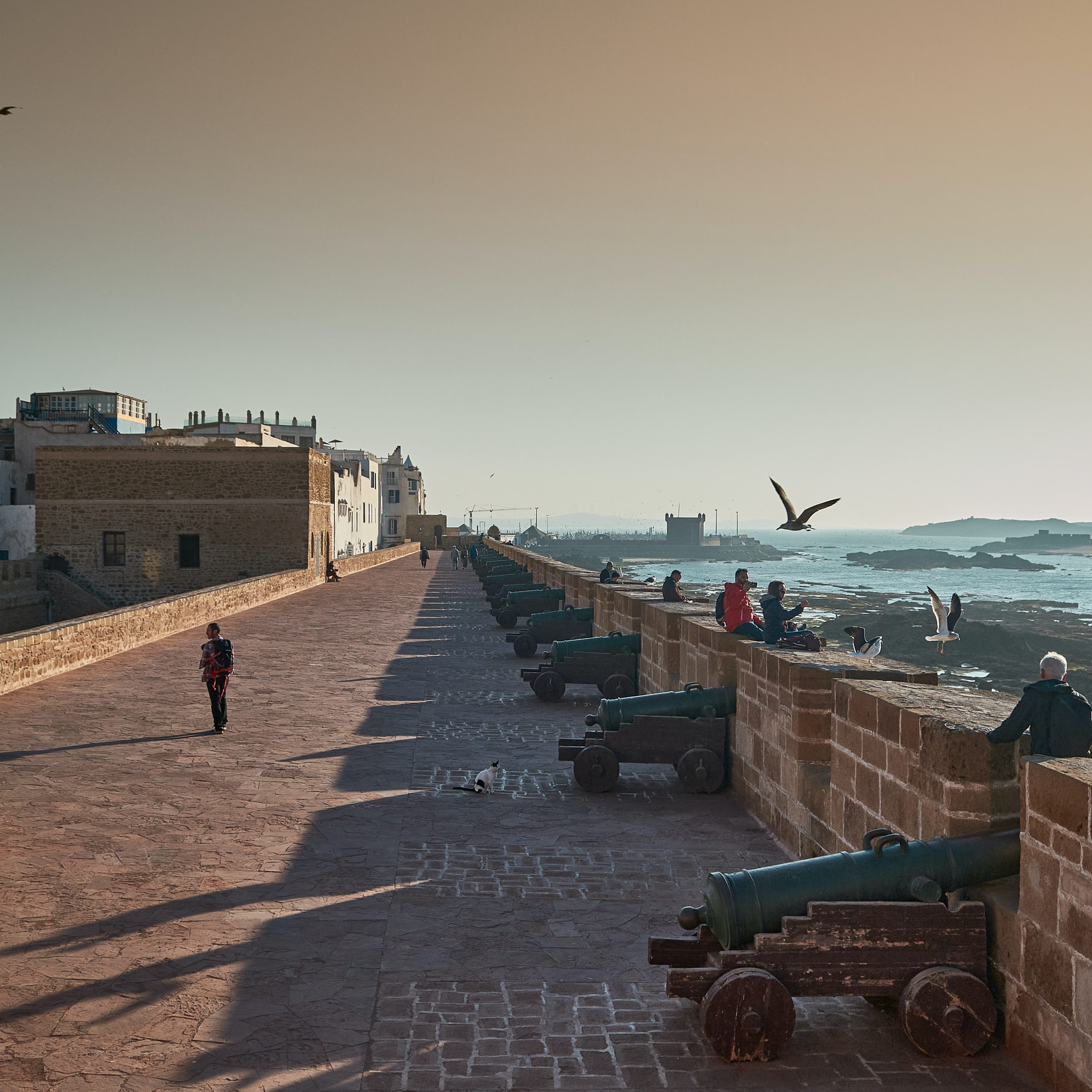 Essaouira - Marrakech Sahara Travels - morocco