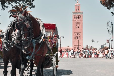 9 day grand tour from marrakech