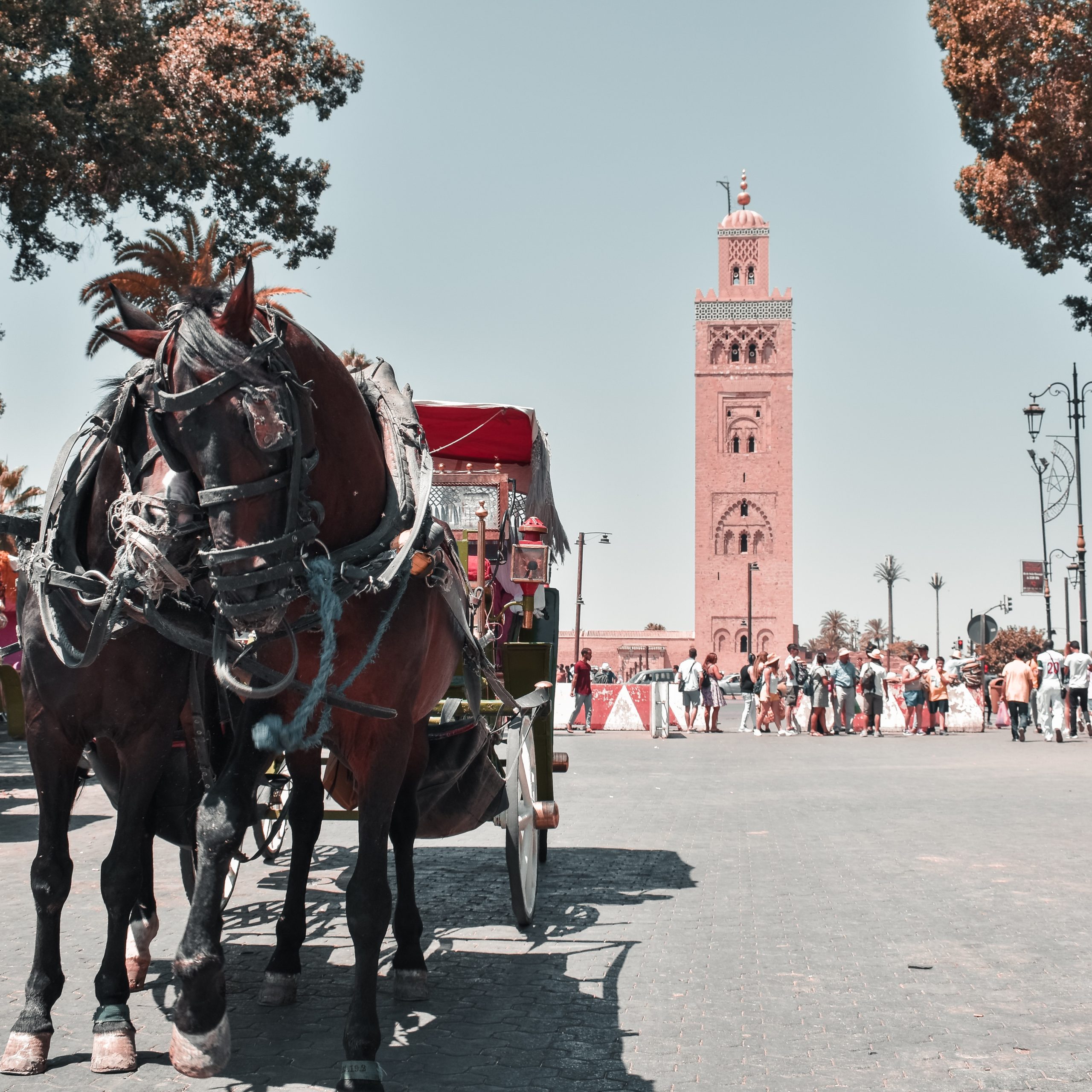 9 day grand tour from marrakech