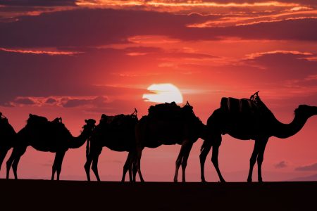 5-day Moroccan Desert Tour from Tangier to Marrakech